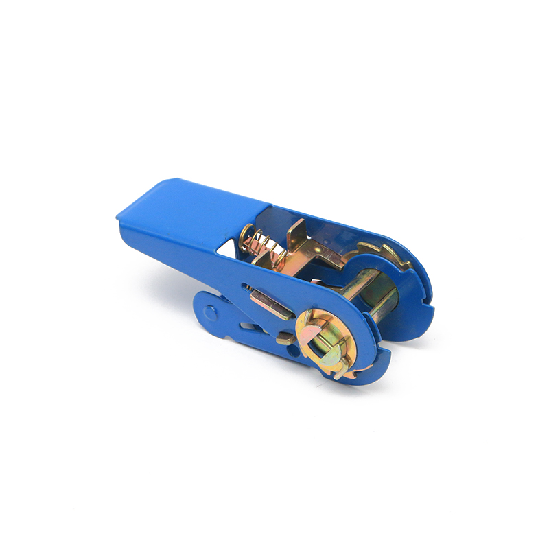 1 inç 25mm*500kg/1100lbs mavi küçük mandal tokası