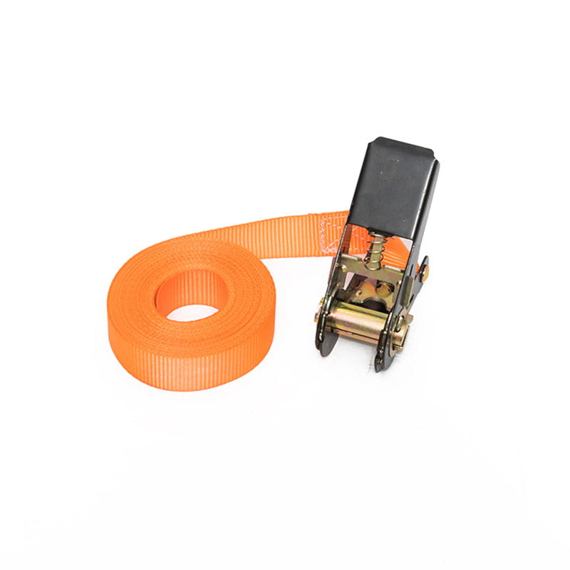 1 inç 25mm*500kg/800kg sonsuz döngü cırcır kayışı